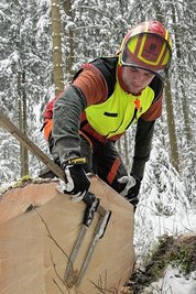Daniel Freund vermisst einen der Stämme.