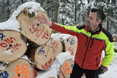 Einige der Stämme für den Blockhausbau liegen bereits zur Abholung auf dem Waldweg. Clemens Weiser weiß, was die Markierungen bedeuten.