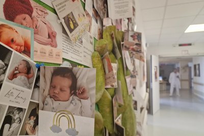 Mit Hilfe der Hebamme beginnt das Leben für viele, wie die Fotos am Lebensbaum in der Geburtsklinik zeigen. Viele Eltern bedanken sich mit Foto-Karten.