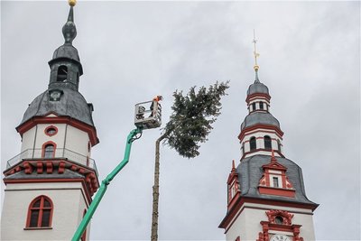 Mit dem Abtragen des Weihnachtsbaumes wurde am Montag auf dem Neumarkt die letzte Erinnerung an den Weihnachtsmarkt 2022 entfernt. 