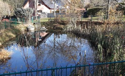 Der kleine Teich am Rand des Vogelherds in Crandorf gleicht eher einem Biotop als einer problemlosen Entnahmestelle für Löschwasser. 