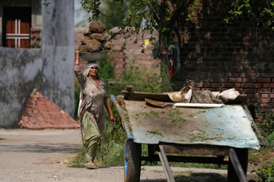 Eine Frau in Indien trägt Kuhmist, der meist als Bau- oder Brennmaterial verwendet wird, in einem Korb auf dem Kopf.