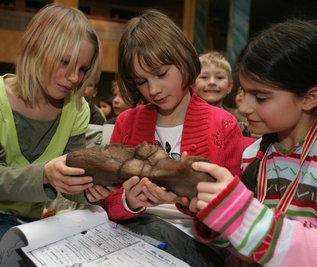 
              <p class="artikelinhalt">Lissy Baumgartner, Melissa Heinzig und Lara Kämpf untersuchen den Abguss eines Dinosaurierknochens.</p>
            