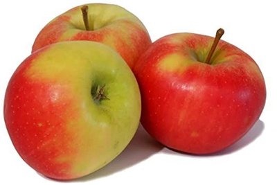 Elstar: Ist ein Herbstapfel und die beliebteste Sorte, nicht nur in Sachsen, sondern auch in Deutschland. Die Früchte sind mittelgroß, goldgelb mit leuchtend roter Marmorierung. Sein saftiges, weiß-gelbliches Fruchtfleisch hat einen intensiven, süß-säuerlichen und aromatischen Geschmack. Elstar wird frisch gegessen, aber eignet sich auch zum Backen, Kochen sowie als Zutat für Müslis und Salate.