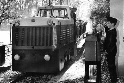 Die „Lok 6001“ bei einer Fahrt durch den Küchwald im Oktober 1972.