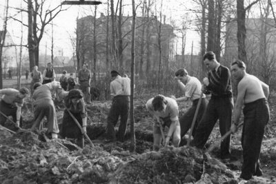 Archivbild von den Bauarbeiten an der Pioniereisenbahn im Jahr 1953.