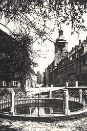Schon immer gab es am Springbrunnen in der Schwarzenberger Altstadt Bäume, wie auch durch diese alte Ansichtskarte dokumentiert.
