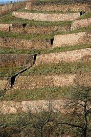 Die Terrasse: Die Weinbergsmauern speichern die Wärme. Bis zu zehn Grad wärmer kann es werden.