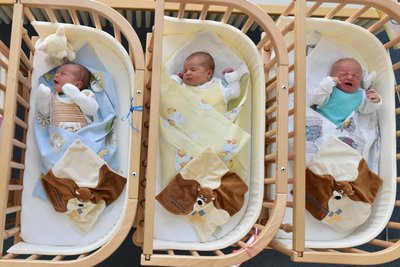 Drei frisch geborene Babys liegen in ihren Betten auf der Wochenbettstation im Kreiskrankenhaus Freiberg. Die Station kann auch am Samstag beim Tag der offenen Tür besichtigt werden.