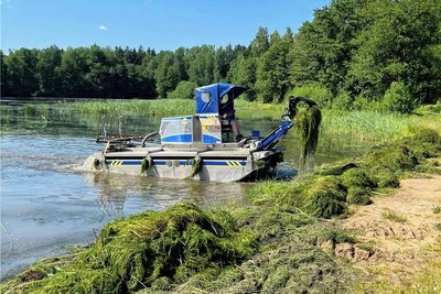 Die Schlingpflanzen im Waldbad werden durch ein Spezial-Amphibienfahrzeug entfernt.