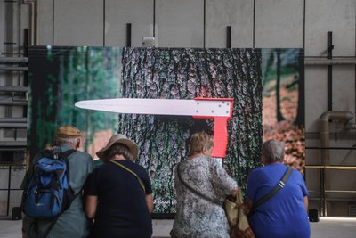 Besucher und Besucherinnen vor der Installation „Forest Futurism“ von Uriel Orlow mit einem Film zum Thema Wald.