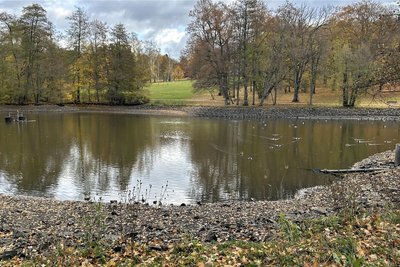 Seit einigen Tagen ist der Plauener Stadtparkteich mit weniger Wasser gefüllt als üblich. Die Stadtverwaltung erklärt das mit nötigen Arbeiten an einer wichtigen Wasserleitung.