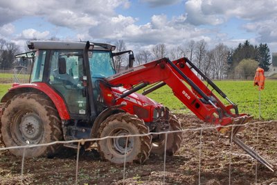 Am Bendelstein sollen Bäume gepflanzt werden.