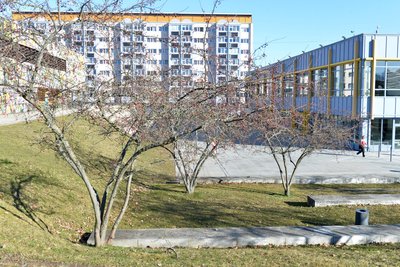 An dieser Stelle auf dem Campus der TU Bergakademie Freiberg an der Agricolastraße stand einst der Türstock.