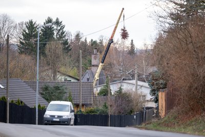Das ganze Jahr über fristete ein Tannenbaum an der Straßberger Straße sein Dasein.