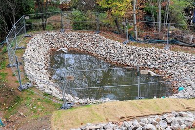 Naturschutz als Bauauflage: Am Fuße des terrassierten Hangs hinter dem Parkhaus wurde dieser Teich angelegt. Er bietet auch Lebensraum für Feuersalamander. 