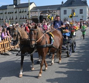 Einer der Höhepunkte am Sonntag war der Festumzug der Pferdesportvereine mit 28 Schaubildern.