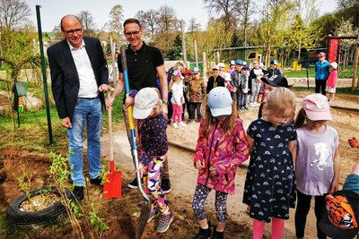 Die Vorschüler der Kita „Bärenstark" in Großhartmannsdorf haben diese Woche mit Bürgermeister Dirk Müller (2.v.l.) und Sparkassenvorstand Hans-Ferdinand Schramm (l.) auf dem Kita-Gelände Bäume und Sträucher gepflanzt.
