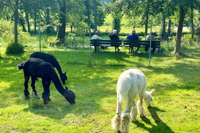 Den Lebensabend in einer landschaftlichen Idylle verbringen, das ist im Gut Förstel möglich.
