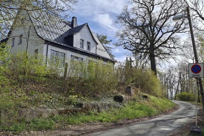 Mitten im Grünen liegt das Waldhaus.