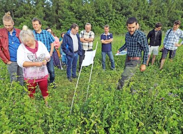 Mitarbeiter Andreas Neubert (3. v. r.) erläutert den Teilnehmern des Feldtages das Prinzip der Blühflächennutzung der Agrargenossenschaft "Bergland". 