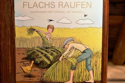 Eine Tafel erzählt vom Raufen des Flachses.