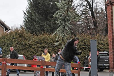 Wer den Weihnachtsbaum am weitesten wirft, wird am Samstag in Steinpleis ermittelt.