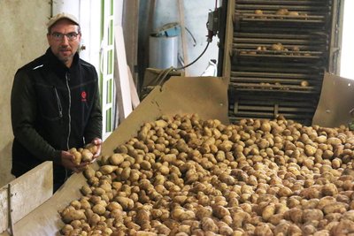 Im Herbst heißt es auch bei Landwirt Robert Sammer: Die Kartoffeln kommen raus aus der Erde. Doch jetzt steht erst einmal das Legen an.