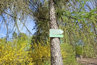 Vom Waldhaus aus starten Wanderwege.