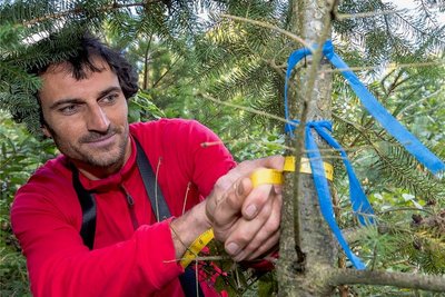 Frank Lochschmidt ist einer der Dienstleister, die im Auftrag von Sachsenforst die Wildschäden erfassen, hier in einem Waldstück in der Sächsischen Schweiz.