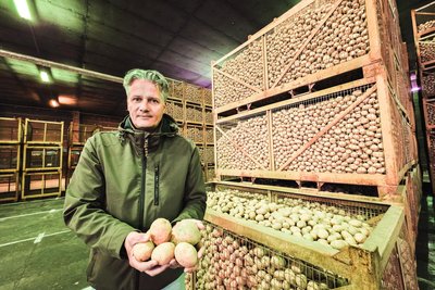 Holger Schmidt, Vorstandsvorsitzender der Agrargenossenschaft Tirschendorf, im Kartoffellager. Hier werden die Erdäpfel mit grünem Licht beleuchtet, um Schimmel vorzubeugen.