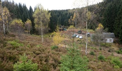 Der ehemalige Beerheider Skihang (unten die ehemalige Talstation des Liftes) wandelt sich seit der Wende allmählich zu einer Heidelandschaft: Im Schutz der Besenheide gedeiht hier der seltene Keulen-Bärlapp, auch Wacholder wurde gepflanzt. Anflug, etwa Birken, muss regelmäßig entfernt werden. Gegenüber, am Bett der Roten Göltzsch, werden gegenwärtig rund 1000 Fichten gefällt, um Platz für Mischwald zu schaffen.