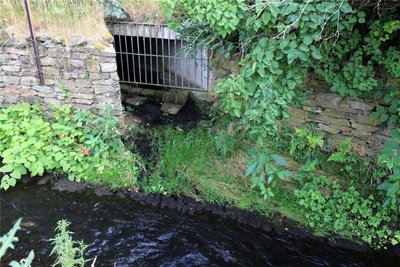 Durch diesen Zufluss strömen bei Starkregen Wassermassen von der Brauerei und der Molkerei in den Münzbach.