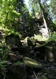 Sachsens größter Wasserfall ist ausgetrocknet.