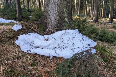 Also wurde auch improvisiert: Sieht aus wie Schnee, ist aber Watte.