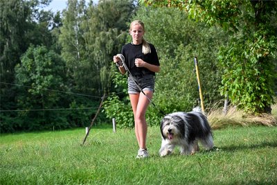Hannah Stahl übt mit Milo für den Wettbewerb Hund und Kind am Sonntag zur Zuchtschau in Zwickau.