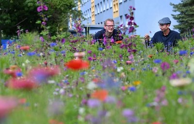 Stadtteilmanager Thomas Rosner (links) und Autor Norbert Engst auf der Blühwiese, an der am Mittwoch gefeiert wird. 