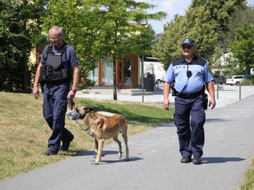Zu Schwerpunktzeiten wird im Sommer in der Auerbacher Innenstadt verstärkt kontrolliert, unter anderem mit einem Polizeihund.