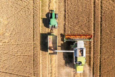 Ein Mähdrescher des Olbernhauer Landwirtschaftsbetriebes OLB erntet auf einem Feld an der Bundesstraße 101 bei Wernsdorf Triticale.