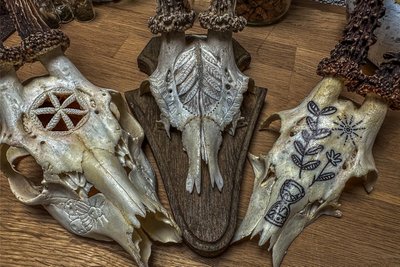 Gravuren und Durchbrüche fräst Linda Meichsner in Tierschädel ein. Ihre Motive sind voller Symbolik. Damit verleiht sie den Tieren ein zweites Leben als Kunstwerk.