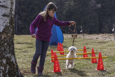 Die zehn Jahre alte Ella gehört mit ihrem Bolonka-Malteser-Mischling Coco zum Nachwuchs der Grumbacher Hundesportler.