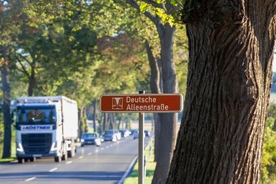 Ist die Deutsche Alleenstraße bald um 20 Bäume ärmer? Die Pläne sehen Fällungen zwischen Oberlosa und der A 72 vor. 
