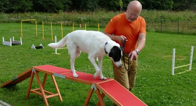 Mit dem elfjährigen Pointer-Mischling Nuca nutzt Klaus Baumann die mobilen Hindernisse auf dem Gelände des ehemaligen Freibades, das übergangsweise vom Hundeklub "Echte Freunde" zum Training genutzt wird. Ab Oktober soll dann der Hundeplatz am Bootshaus geteilt werden. 