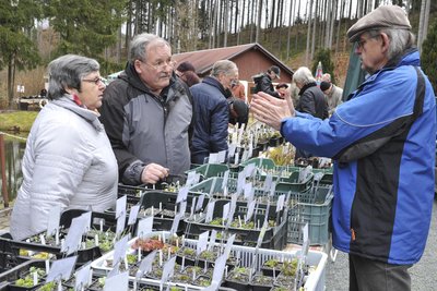 Am Karsamstag wird von 10 bis 16 Uhr zur Frühjahrs-Pflanzenbörse in den Botanischen Garten in Adorf eingeladen.