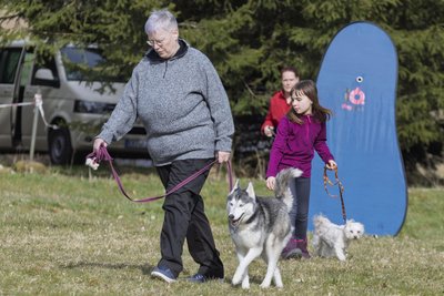 Simona Günther ist die 2. Vorsitzende des Hundesportvereins Grumbach. Hier führt sie ihren Sibirischen Husky Reisi.