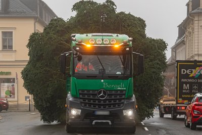 Mit Polizeibegleitung wurde die Fichte über die Bundesstraße 174 zum Marienberger Markt transportiert.