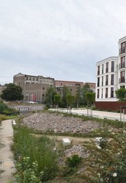 Die Wandlung ist an dieser Stelle wirklich frappierend: Wohnhäuser (rechts) am Ufer des freigelegten Chemnitzflusses. 