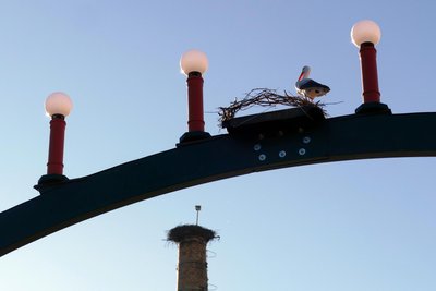 Unweit der Esse, auf der sich das echte Nest befindet, wurde der Storch auf dem Schwibbogen verewigt.