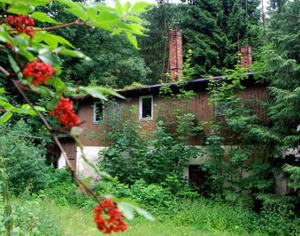 
              <p class="artikelinhalt">Seit Jahren liegt die Göltzschtalmühle an der Talsperre Falkenstein im Dornröschenschlaf. Die Natur hat von der Ruine längst Besitz ergriffen.</p>
            