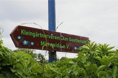Am Goethehain gibt es 93 Parzellen. Etwa zehn davon sind von jungen Gärtnern unter 30 Jahren belegt.